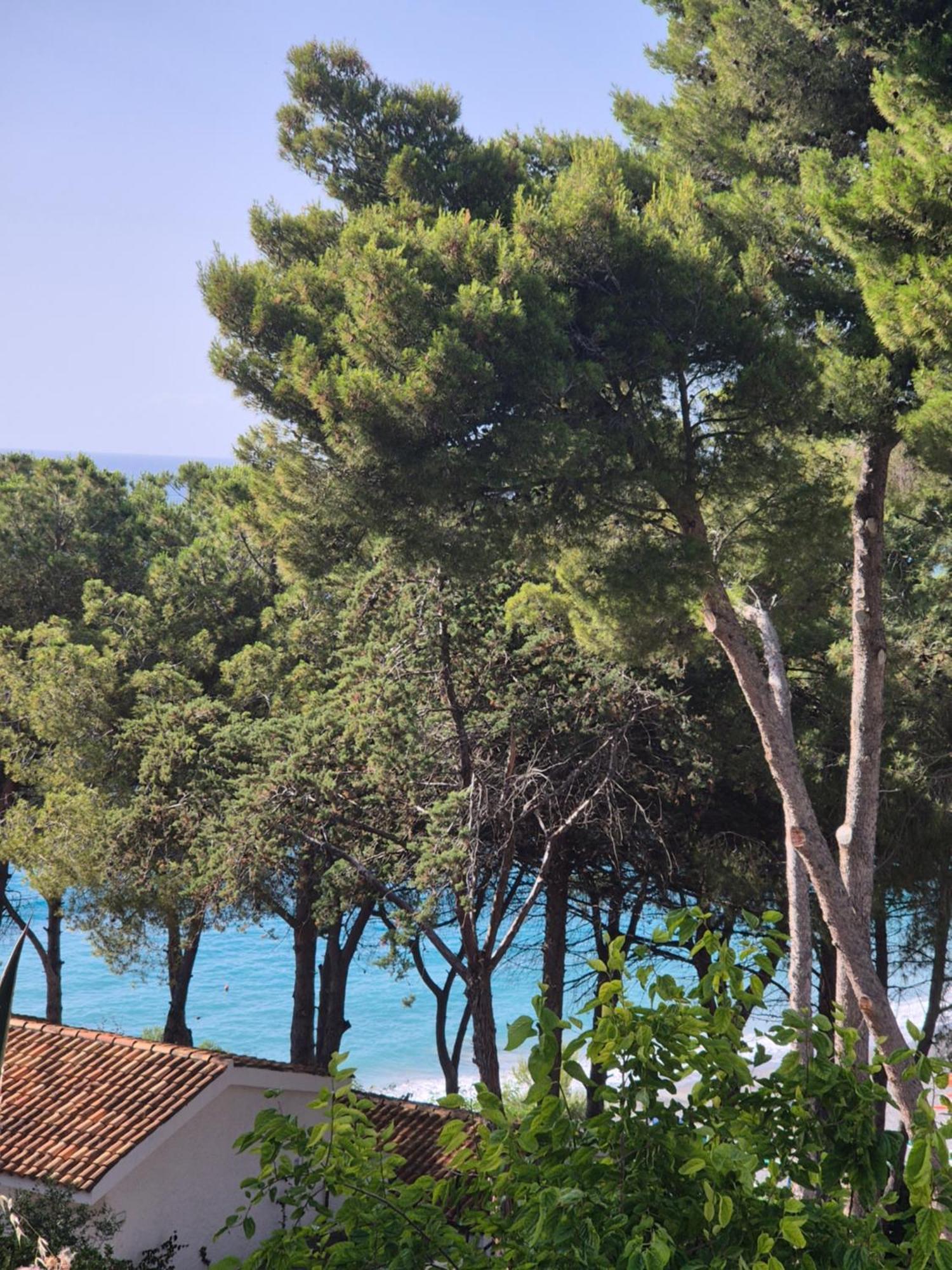 Hotel Guardacosta Diamante Εξωτερικό φωτογραφία