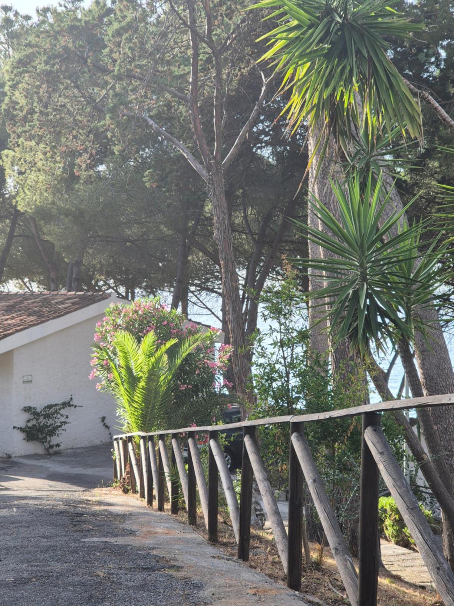 Hotel Guardacosta Diamante Εξωτερικό φωτογραφία