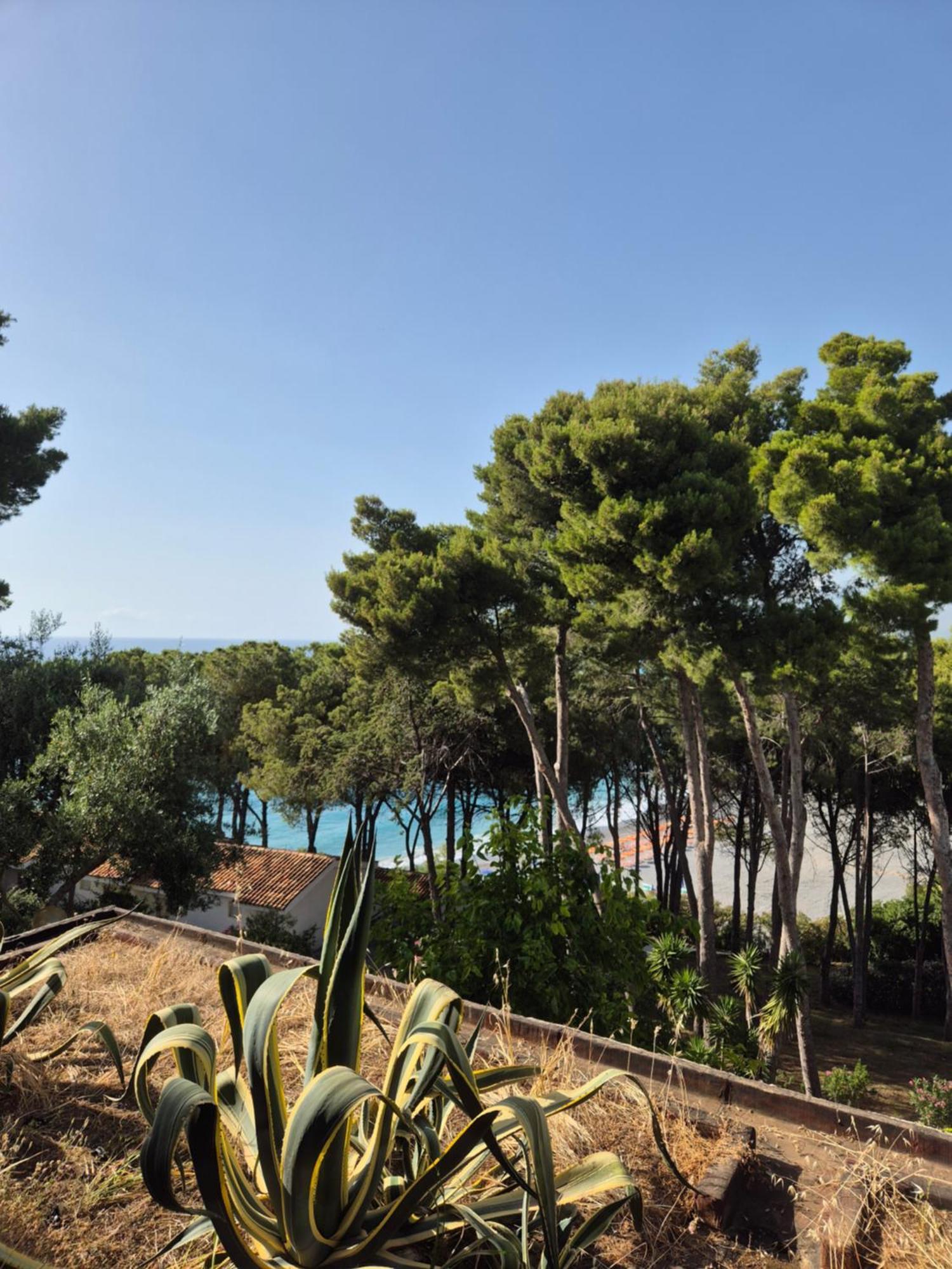 Hotel Guardacosta Diamante Εξωτερικό φωτογραφία